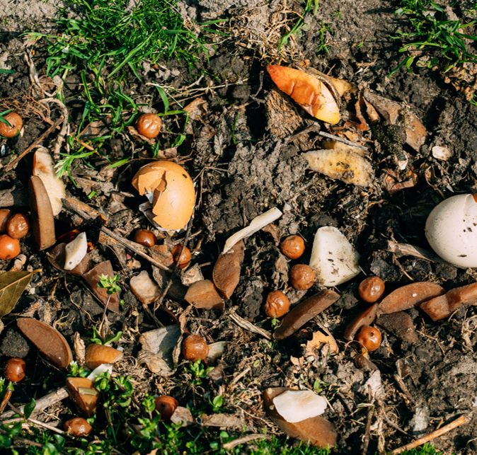 Strategic Sector Cooperation in Food Safety in Vietnam